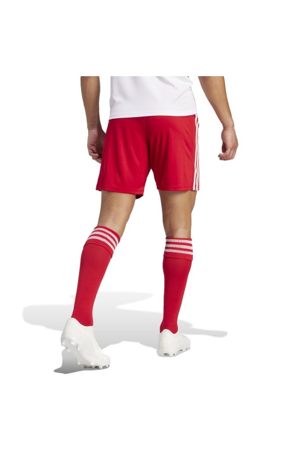 Adidas GN5771 red_1 2