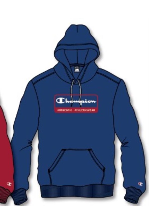 Champion 219161 bs025_1