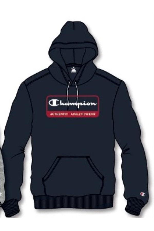 Champion 219161 bs501_1