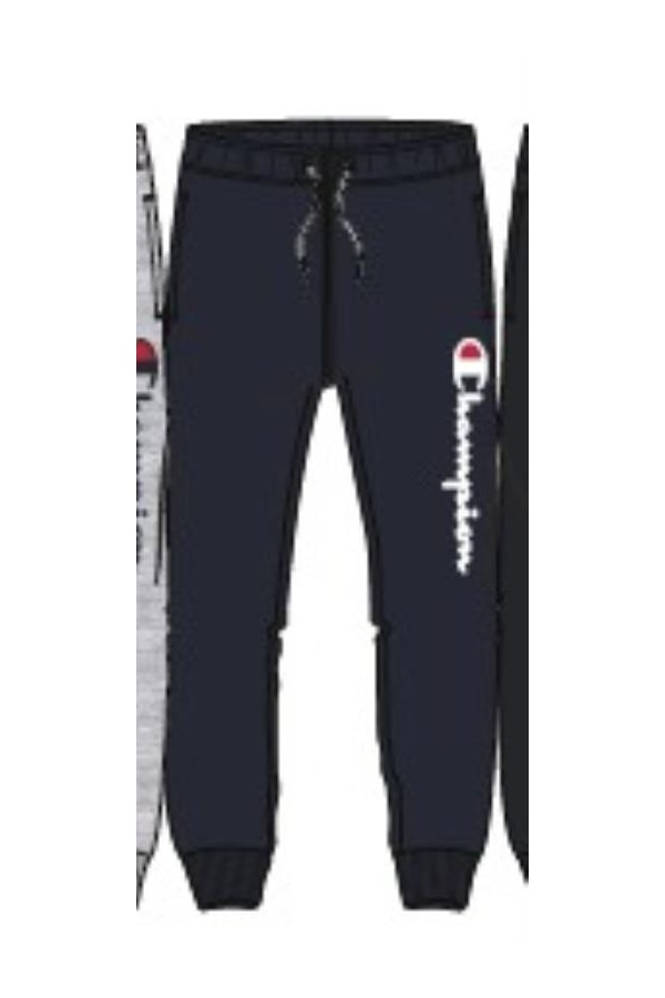 Champion 306499 bs501_1
