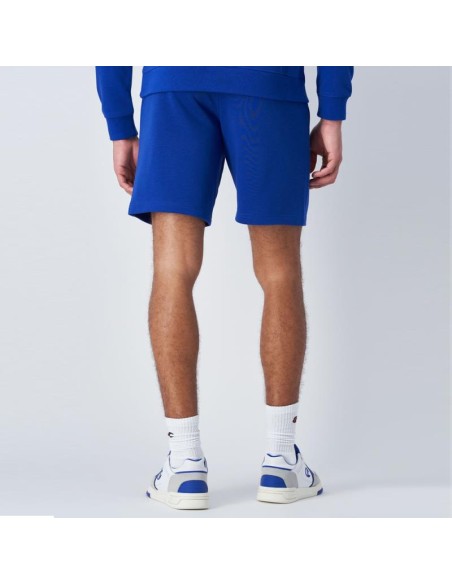 Champion 219904 bs003_3
