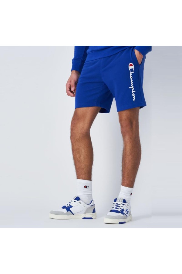 Champion 219904 bs003_4
