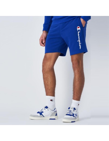 Champion 219904 bs003_4