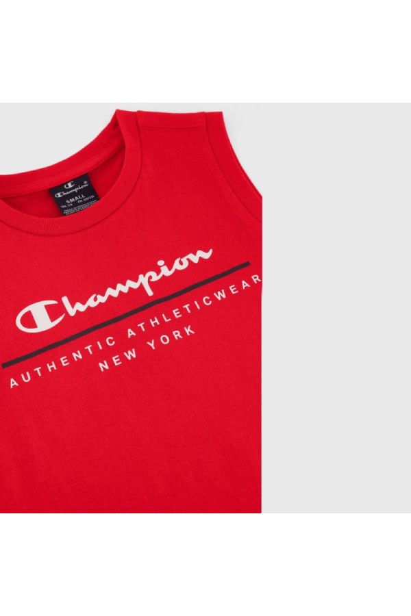 Champion 306701 rs011_3