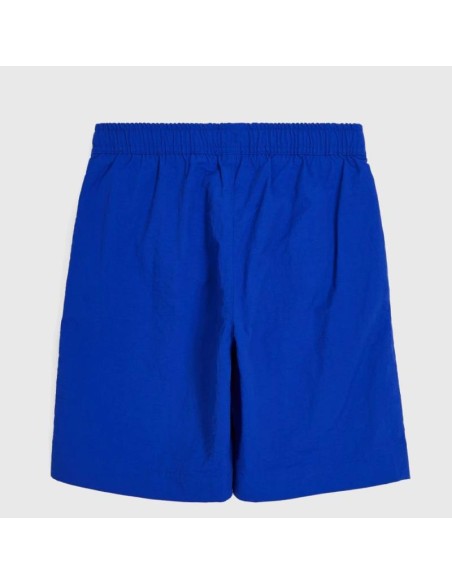 Champion 306771 bs003_2