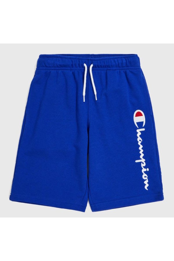 Champion 306803 bs003_1