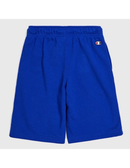 Champion 306803 bs003_2