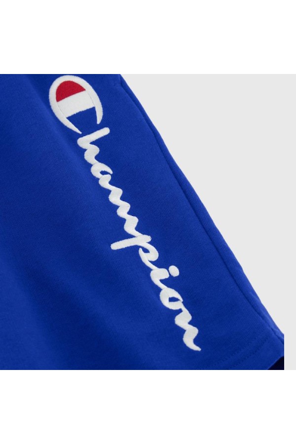 Champion 306803 bs003_3