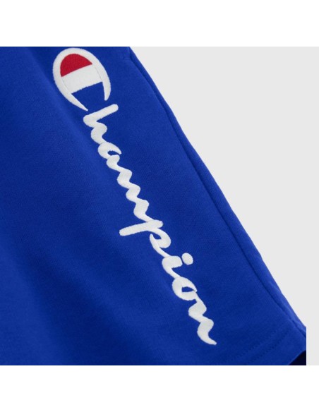 Champion 306803 bs003_3
