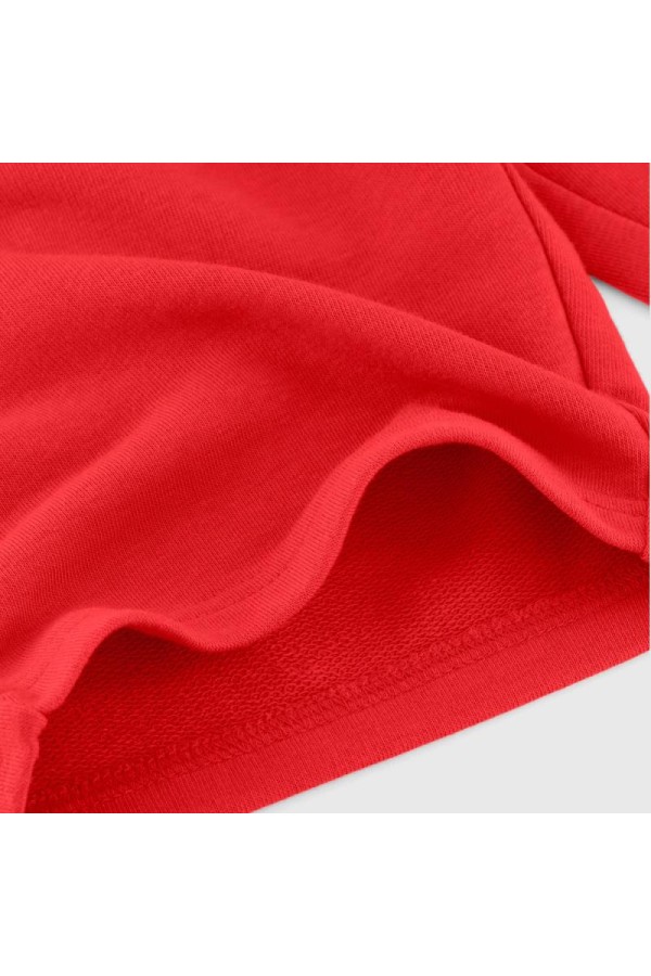 Champion 306803 rs032_3