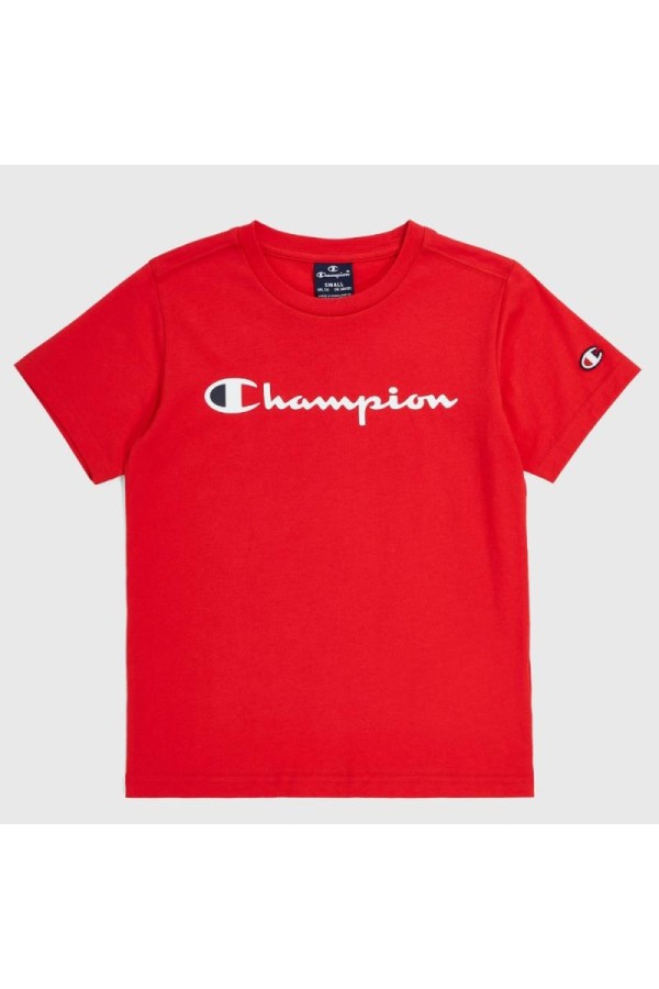 Champion 306832 rs032_1