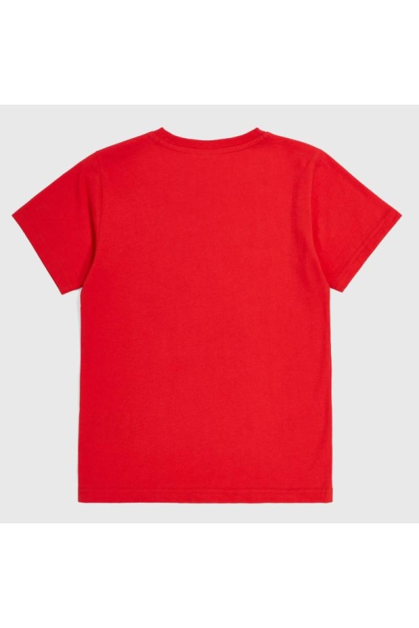 Champion 306832 rs032_2