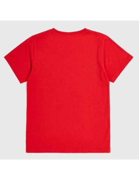 Champion 306832 rs032_2