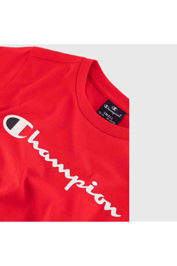 Champion 306832 rs032_3