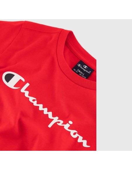 Champion 306832 rs032_3