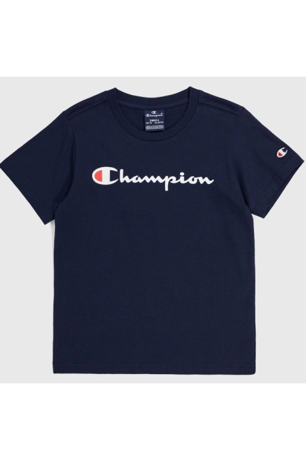 Champion 306832 bs501_1