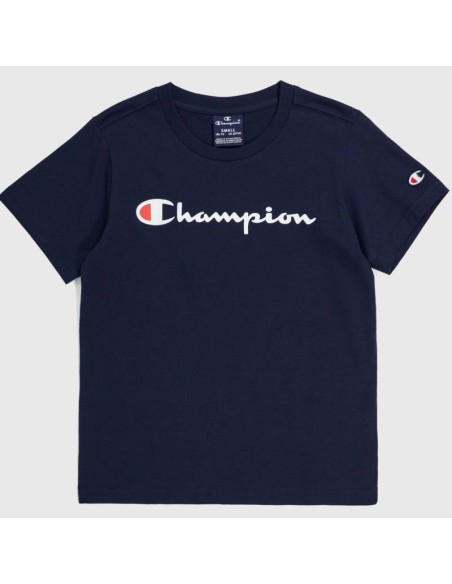 Champion 306832 bs501_1