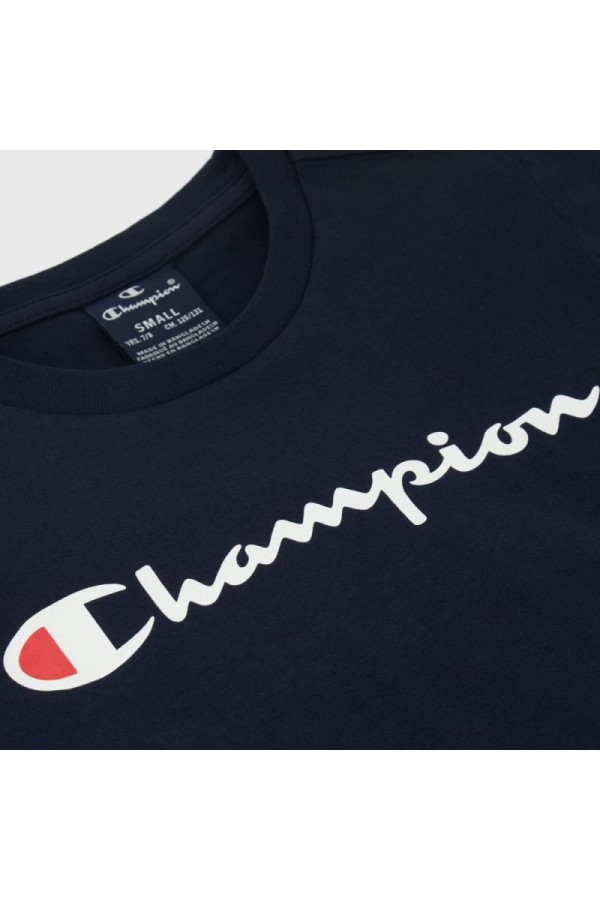 Champion 306832 bs501_3