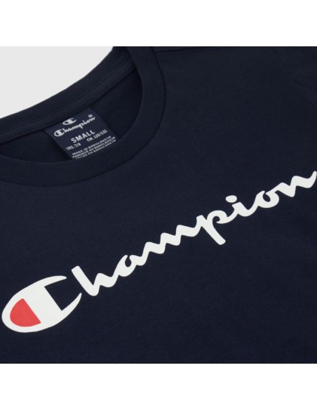 Champion 306832 bs501_3