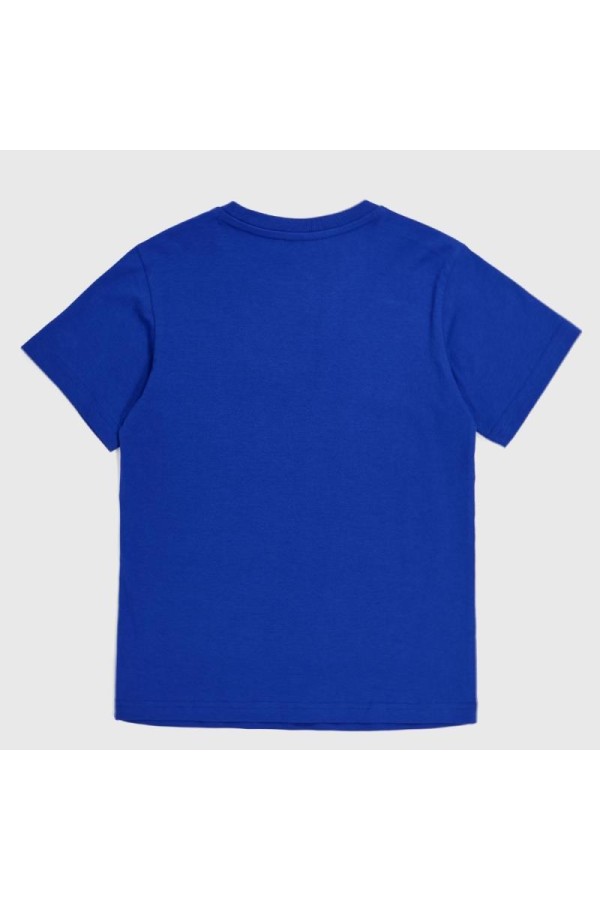 Champion 306832 bs003_2