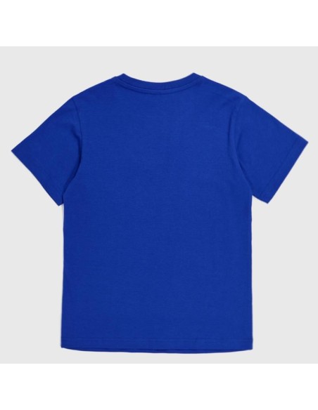 Champion 306832 bs003_2