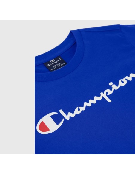 Champion 306832 bs003_3