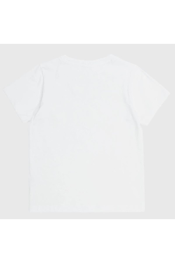 Champion 404998 ww001_2