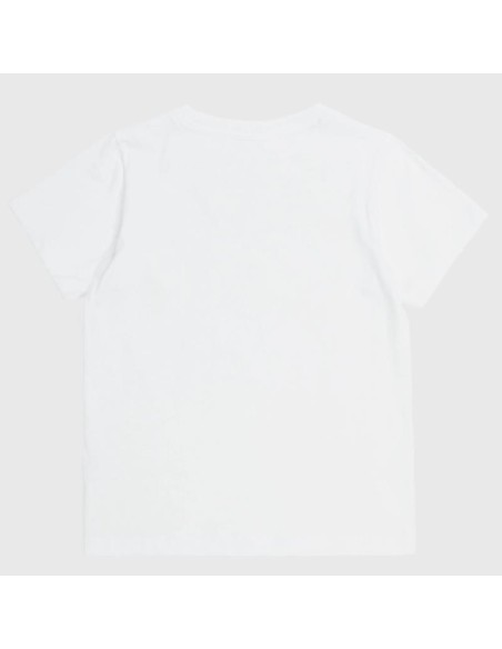Champion 404998 ww001_2