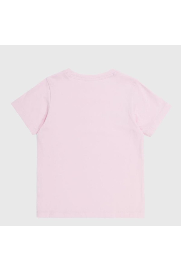 Champion 404998 ps013_2
