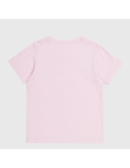 Champion 404998 ps013_2