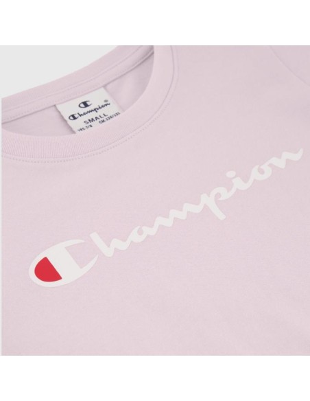 Champion 404998 ps013_3