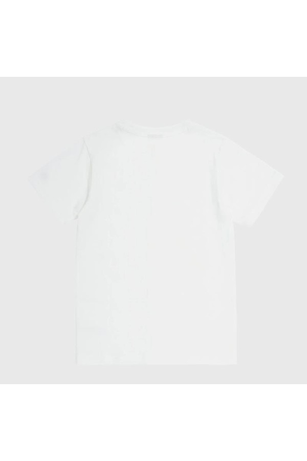 Champion 306793 ww001_2