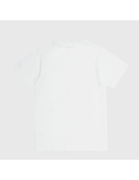 Champion 306793 ww001_2