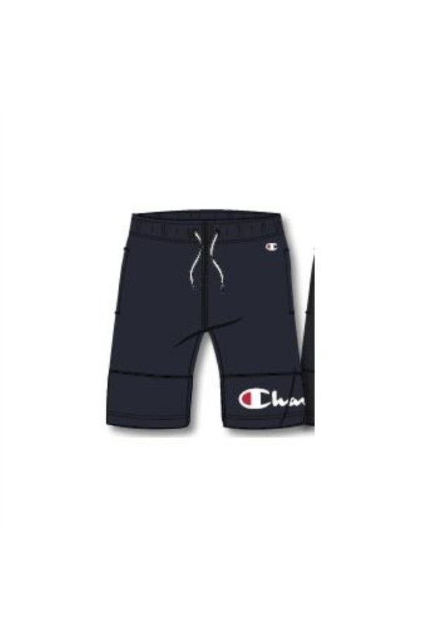 Champion 306753 bs501_1