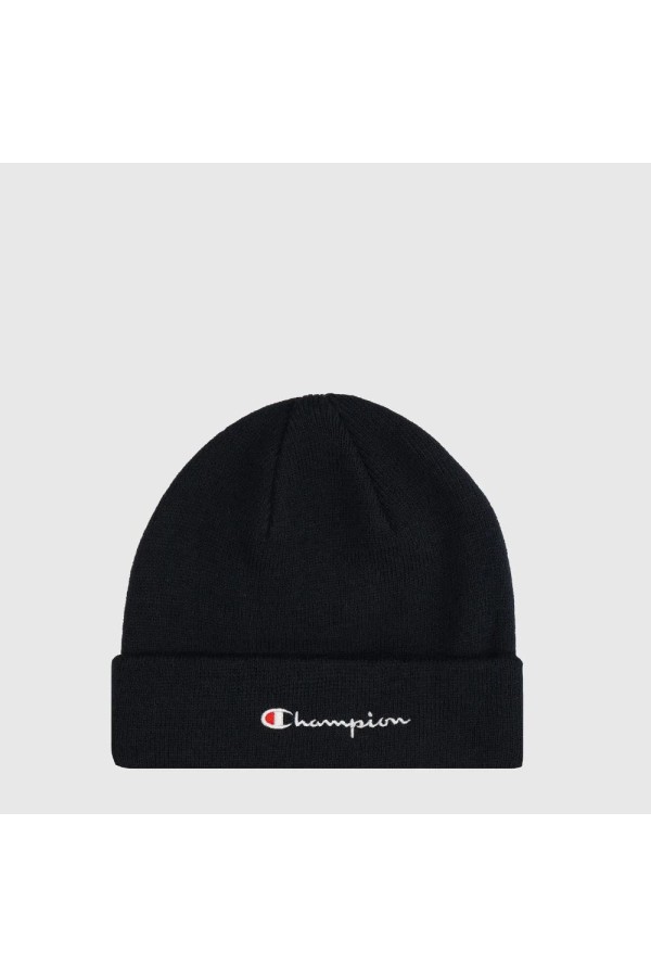 Champion 806064 bs501_1