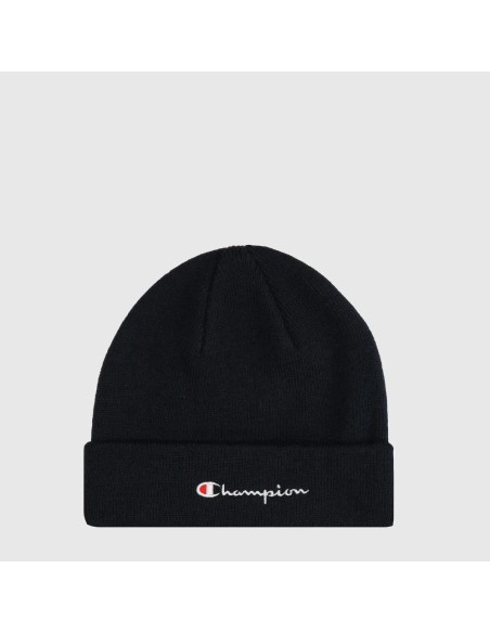 Champion 806064 bs501_1