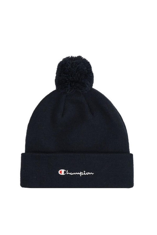 Champion 806071 bs501_1