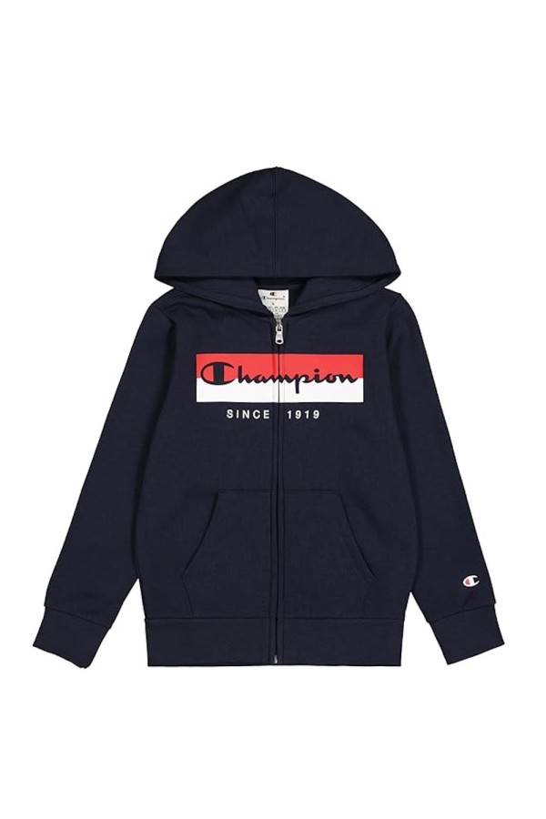 Champion 306839 bs501_1
