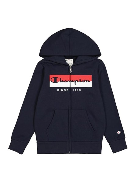 Champion 306839 bs501_1