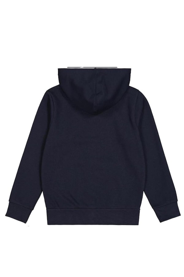 Champion 306839 bs501_2
