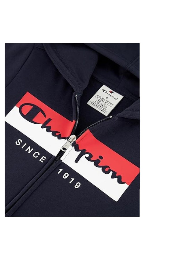 Champion 306839 bs501_3