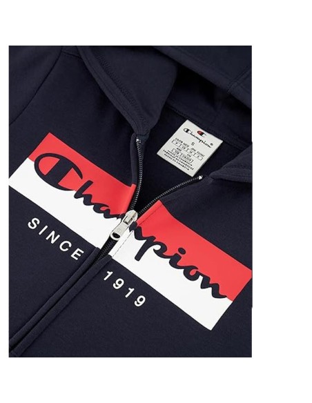 Champion 306839 bs501_3