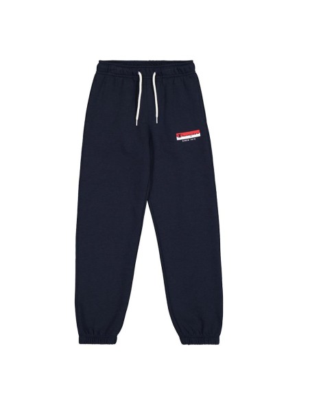 Champion 306841 bs501_1
