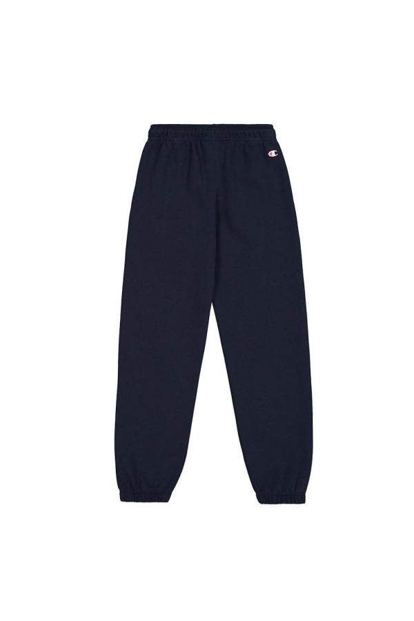 Champion 306841 bs501_1 2