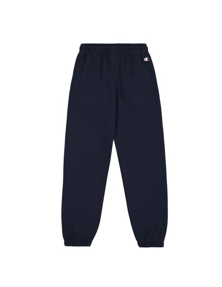 Champion 306841 bs501_2