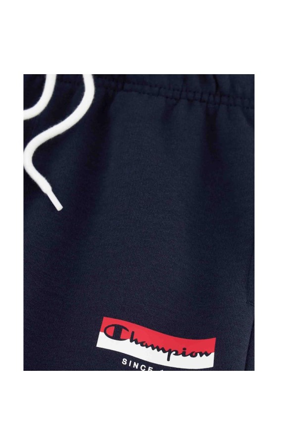 Champion 306841 bs501_3