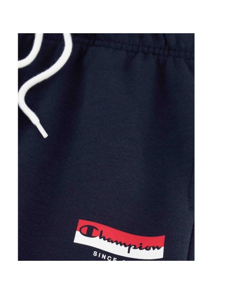Champion 306841 bs501_3