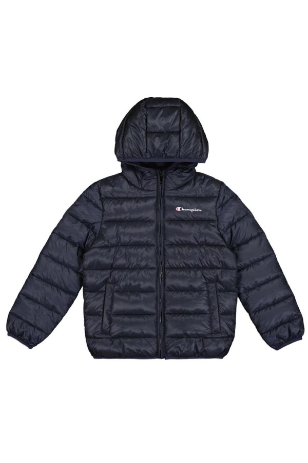 Champion 306868 bs501_1