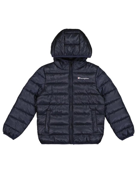 Champion 306868 bs501_1