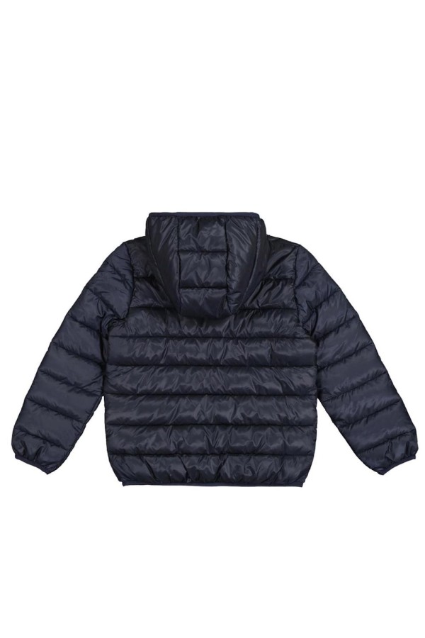 Champion 306868 bs501_1 2